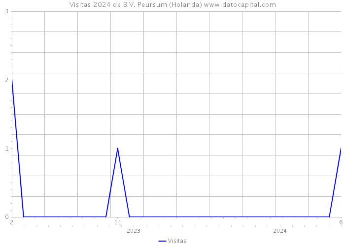 Visitas 2024 de B.V. Peursum (Holanda) 