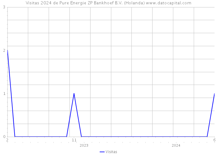Visitas 2024 de Pure Energie ZP Bankhoef B.V. (Holanda) 