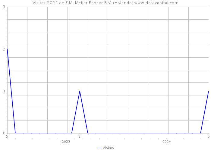 Visitas 2024 de F.M. Meijer Beheer B.V. (Holanda) 