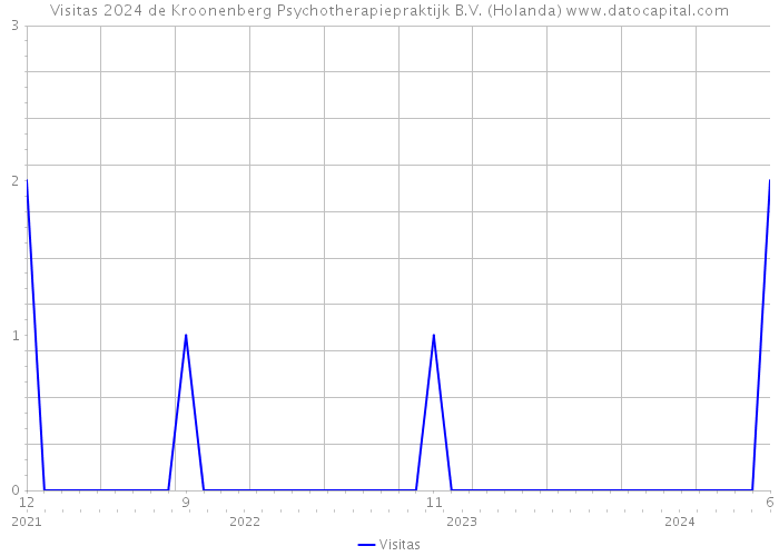 Visitas 2024 de Kroonenberg Psychotherapiepraktijk B.V. (Holanda) 