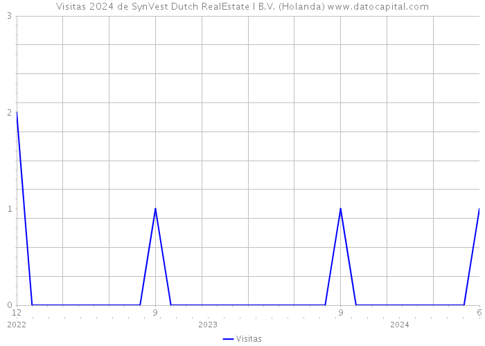 Visitas 2024 de SynVest Dutch RealEstate I B.V. (Holanda) 