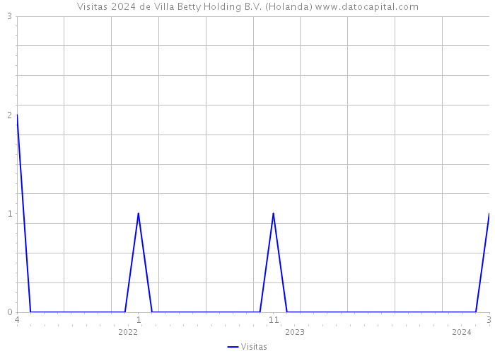 Visitas 2024 de Villa Betty Holding B.V. (Holanda) 