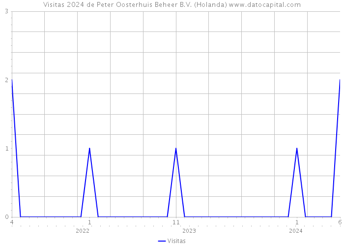 Visitas 2024 de Peter Oosterhuis Beheer B.V. (Holanda) 