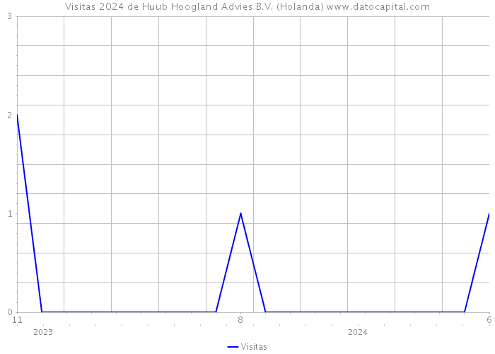 Visitas 2024 de Huub Hoogland Advies B.V. (Holanda) 