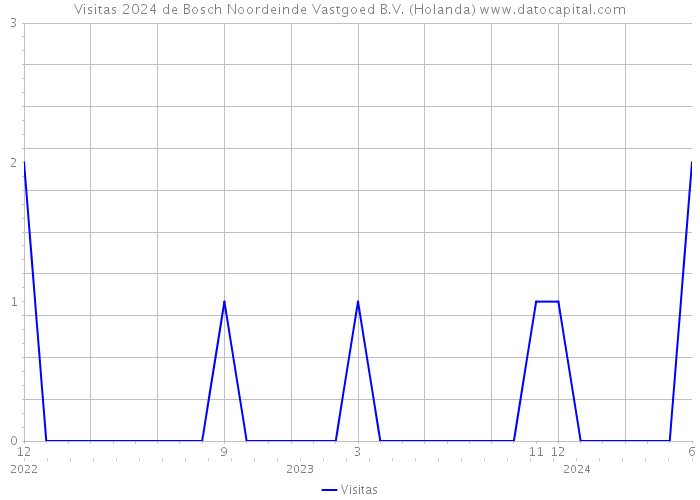 Visitas 2024 de Bosch Noordeinde Vastgoed B.V. (Holanda) 