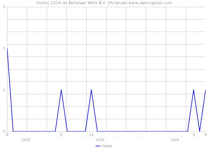 Visitas 2024 de Buitelaar Werk B.V. (Holanda) 