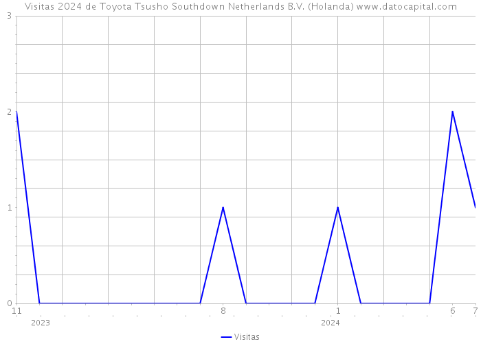 Visitas 2024 de Toyota Tsusho Southdown Netherlands B.V. (Holanda) 