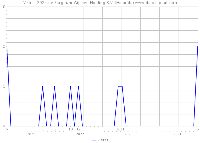 Visitas 2024 de Zorgpunt Wijchen Holding B.V. (Holanda) 