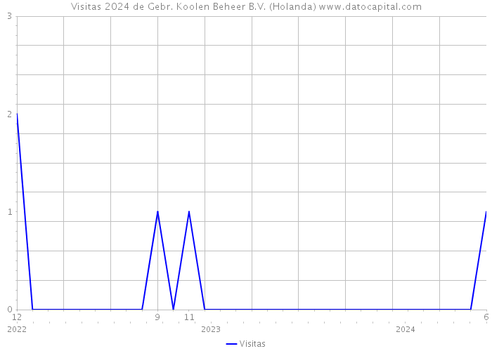 Visitas 2024 de Gebr. Koolen Beheer B.V. (Holanda) 