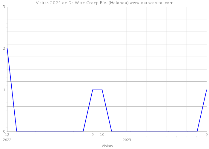 Visitas 2024 de De Witte Groep B.V. (Holanda) 