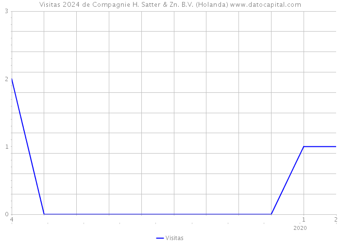 Visitas 2024 de Compagnie H. Satter & Zn. B.V. (Holanda) 