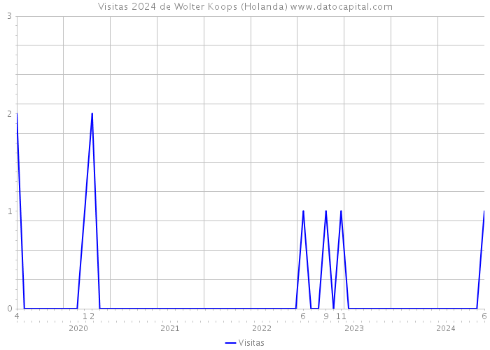 Visitas 2024 de Wolter Koops (Holanda) 