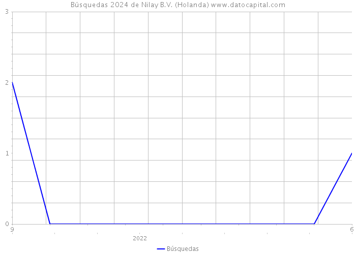 Búsquedas 2024 de Nilay B.V. (Holanda) 