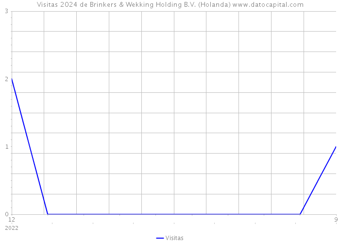 Visitas 2024 de Brinkers & Wekking Holding B.V. (Holanda) 