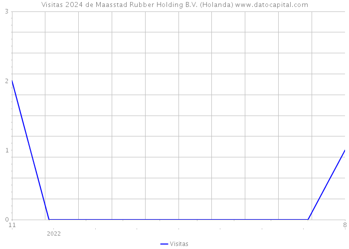 Visitas 2024 de Maasstad Rubber Holding B.V. (Holanda) 