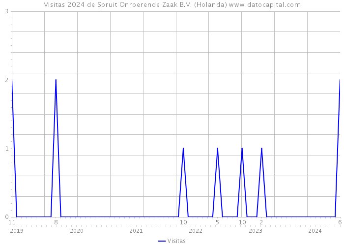 Visitas 2024 de Spruit Onroerende Zaak B.V. (Holanda) 