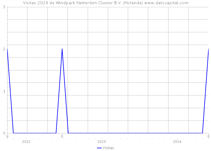 Visitas 2024 de Windpark Netterden Cluster B.V. (Holanda) 