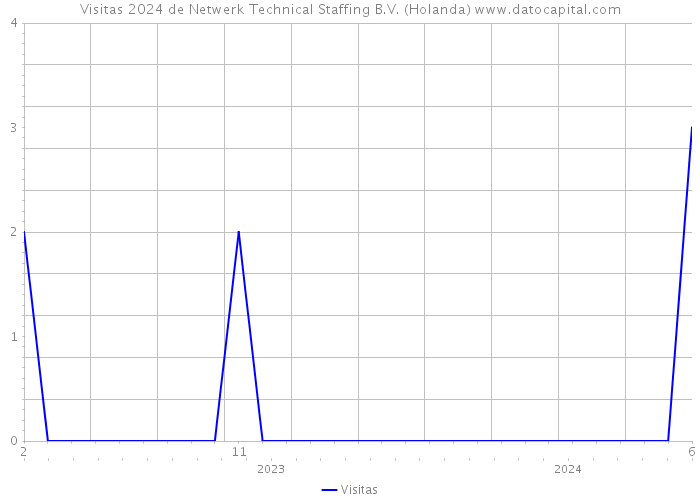 Visitas 2024 de Netwerk Technical Staffing B.V. (Holanda) 