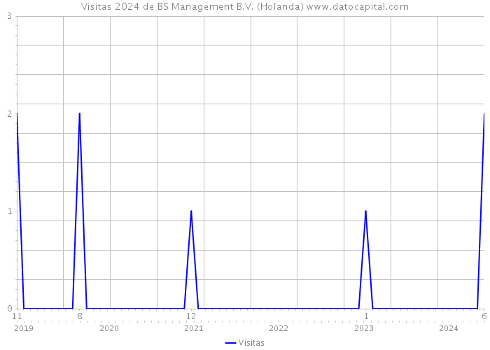 Visitas 2024 de BS Management B.V. (Holanda) 