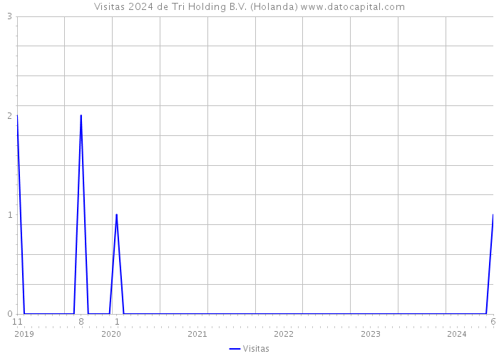 Visitas 2024 de Tri Holding B.V. (Holanda) 