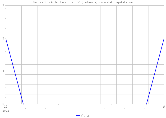 Visitas 2024 de Brick Box B.V. (Holanda) 