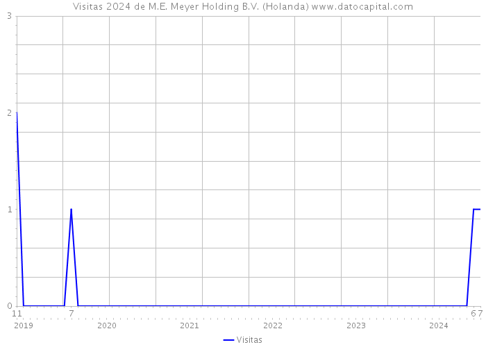 Visitas 2024 de M.E. Meyer Holding B.V. (Holanda) 