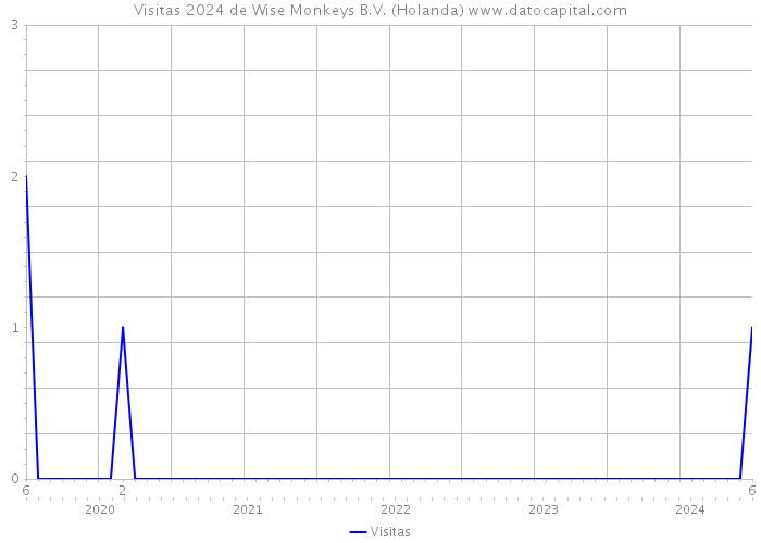 Visitas 2024 de Wise Monkeys B.V. (Holanda) 