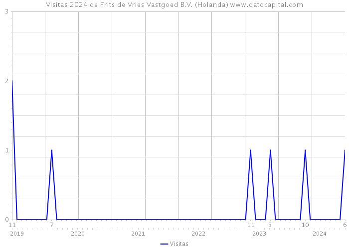 Visitas 2024 de Frits de Vries Vastgoed B.V. (Holanda) 