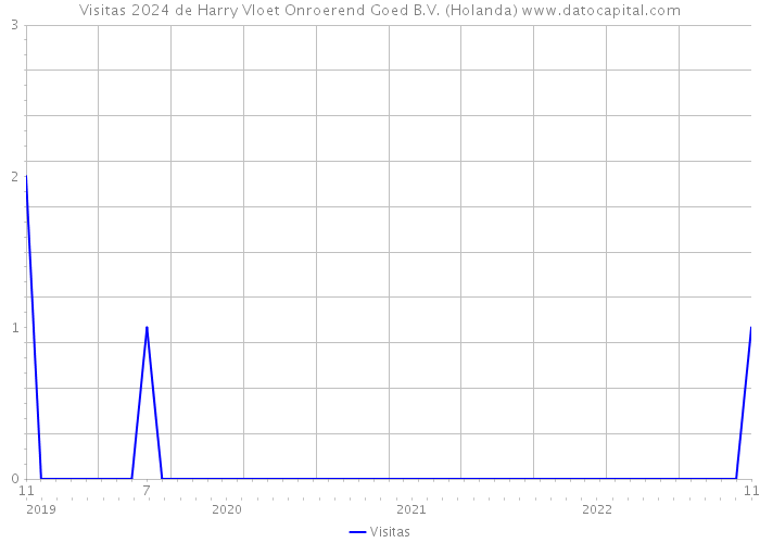 Visitas 2024 de Harry Vloet Onroerend Goed B.V. (Holanda) 