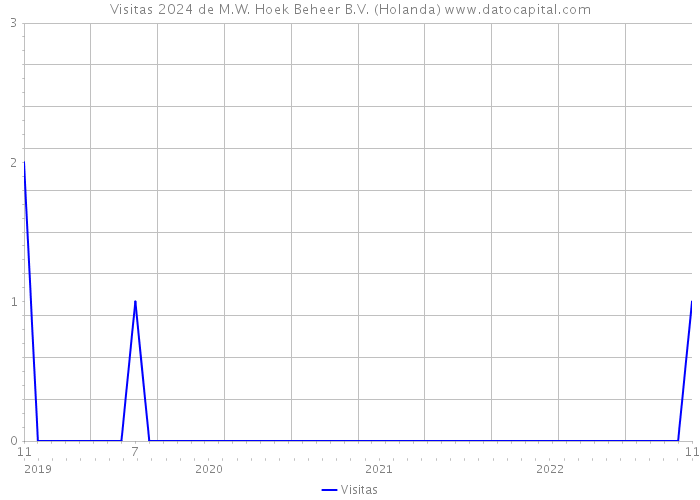 Visitas 2024 de M.W. Hoek Beheer B.V. (Holanda) 