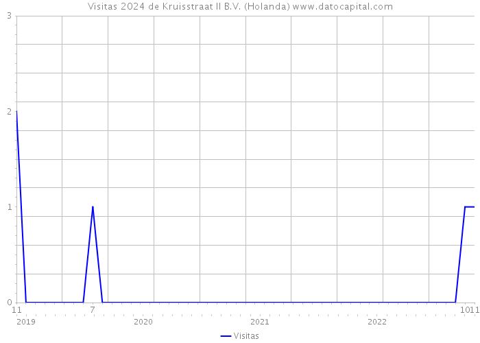 Visitas 2024 de Kruisstraat II B.V. (Holanda) 