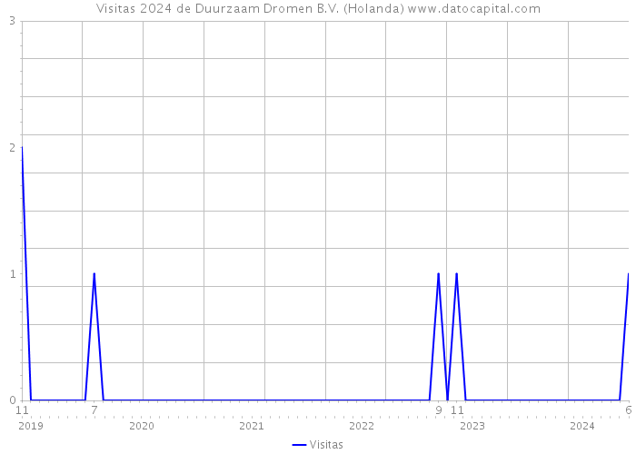 Visitas 2024 de Duurzaam Dromen B.V. (Holanda) 