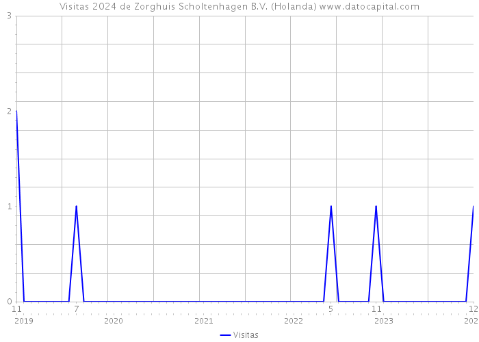 Visitas 2024 de Zorghuis Scholtenhagen B.V. (Holanda) 