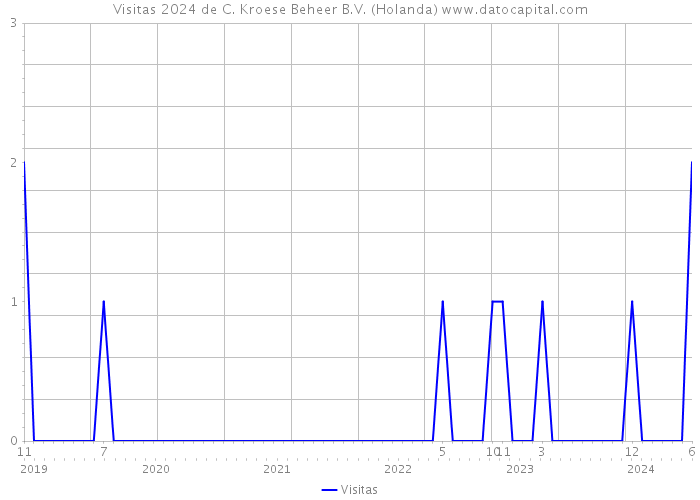 Visitas 2024 de C. Kroese Beheer B.V. (Holanda) 