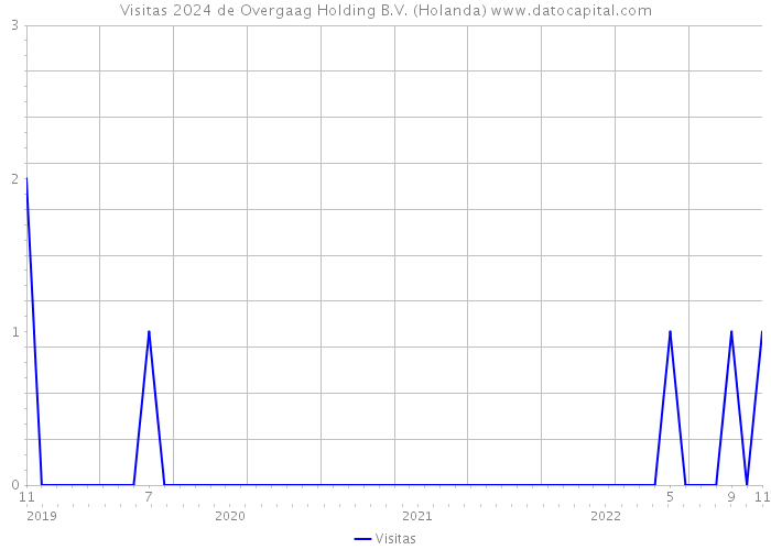 Visitas 2024 de Overgaag Holding B.V. (Holanda) 