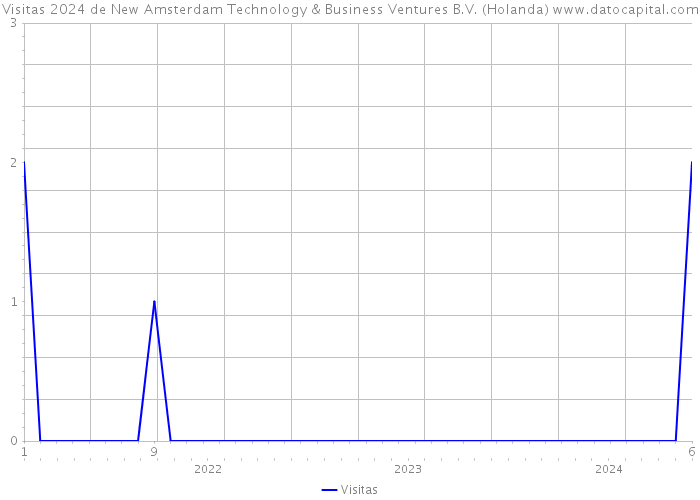 Visitas 2024 de New Amsterdam Technology & Business Ventures B.V. (Holanda) 