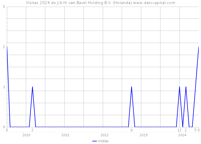 Visitas 2024 de J.A.H. van Bavel Holding B.V. (Holanda) 