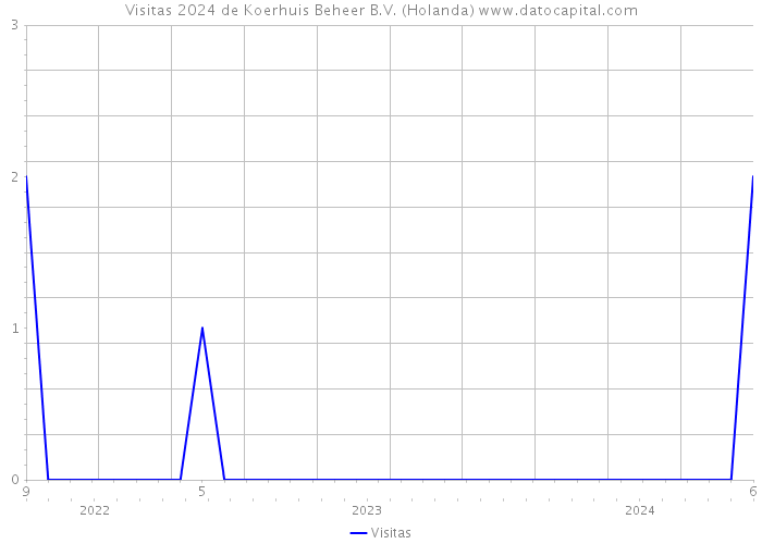 Visitas 2024 de Koerhuis Beheer B.V. (Holanda) 