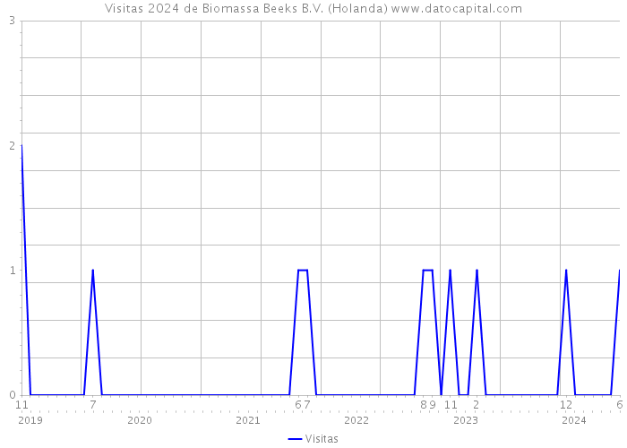 Visitas 2024 de Biomassa Beeks B.V. (Holanda) 