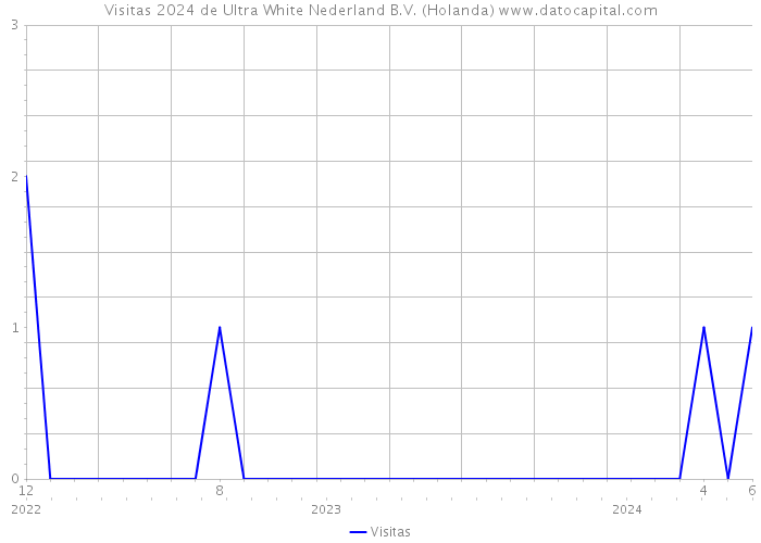 Visitas 2024 de Ultra White Nederland B.V. (Holanda) 