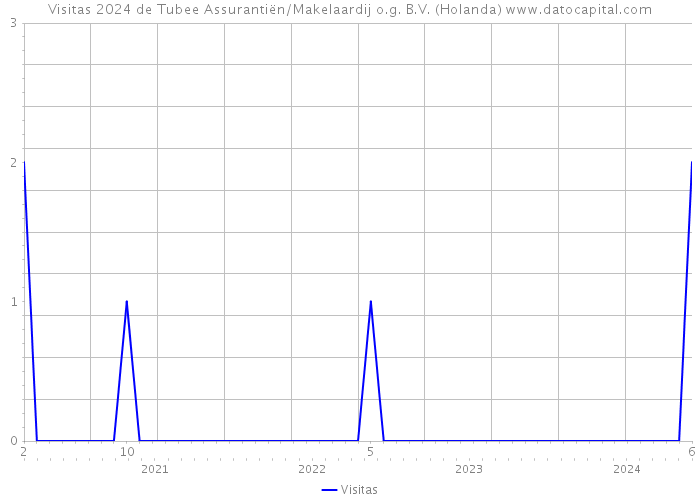 Visitas 2024 de Tubee Assurantiën/Makelaardij o.g. B.V. (Holanda) 