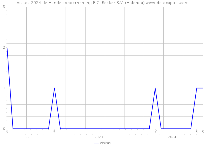 Visitas 2024 de Handelsonderneming F.G. Bakker B.V. (Holanda) 