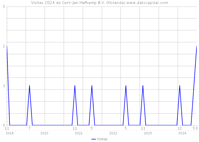 Visitas 2024 de Gert-Jan Hafkamp B.V. (Holanda) 