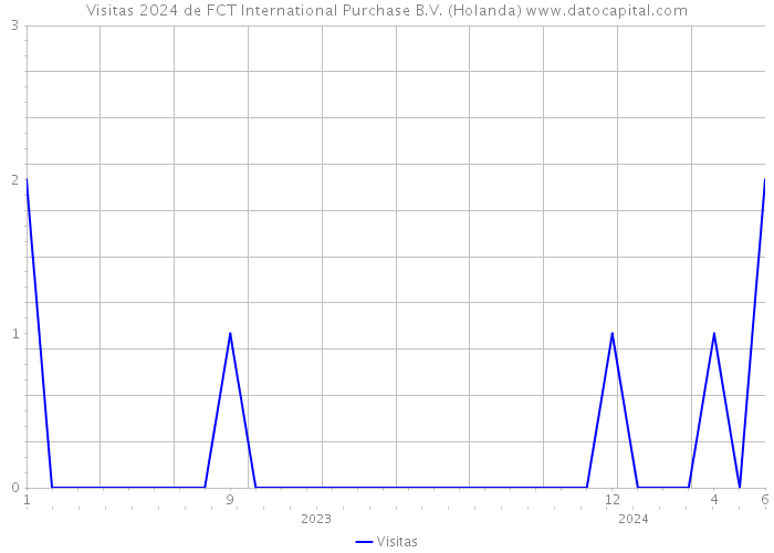 Visitas 2024 de FCT International Purchase B.V. (Holanda) 