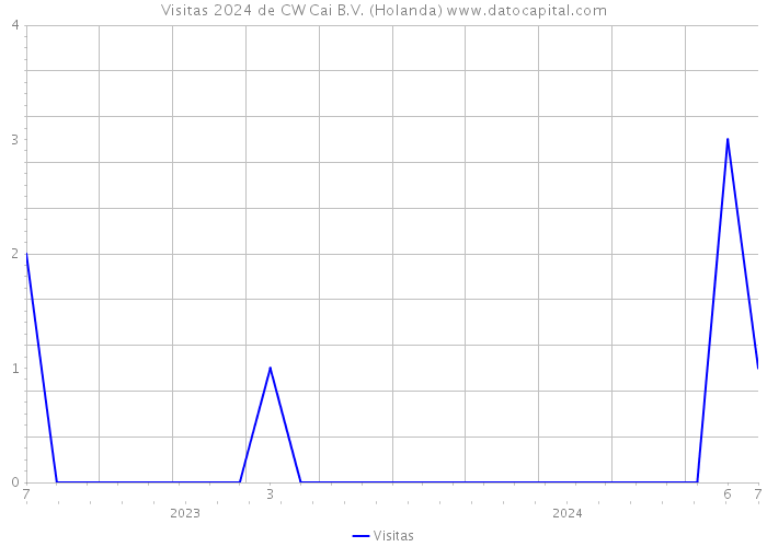 Visitas 2024 de CW Cai B.V. (Holanda) 