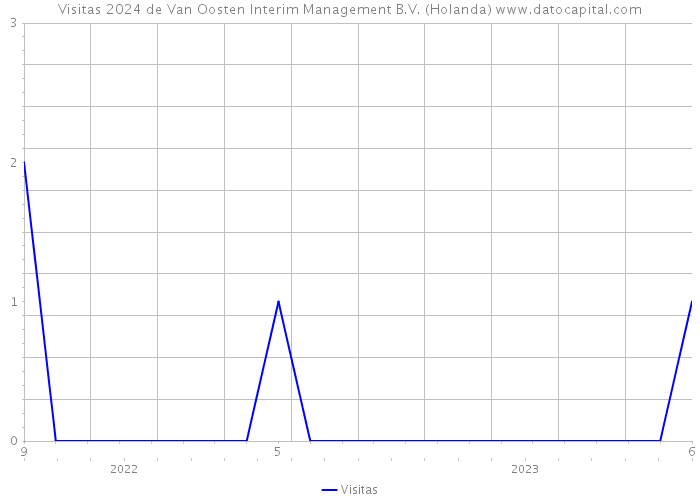 Visitas 2024 de Van Oosten Interim Management B.V. (Holanda) 