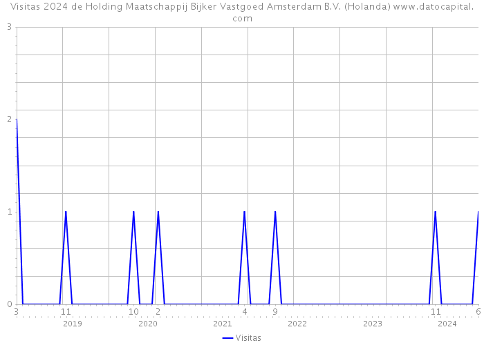 Visitas 2024 de Holding Maatschappij Bijker Vastgoed Amsterdam B.V. (Holanda) 