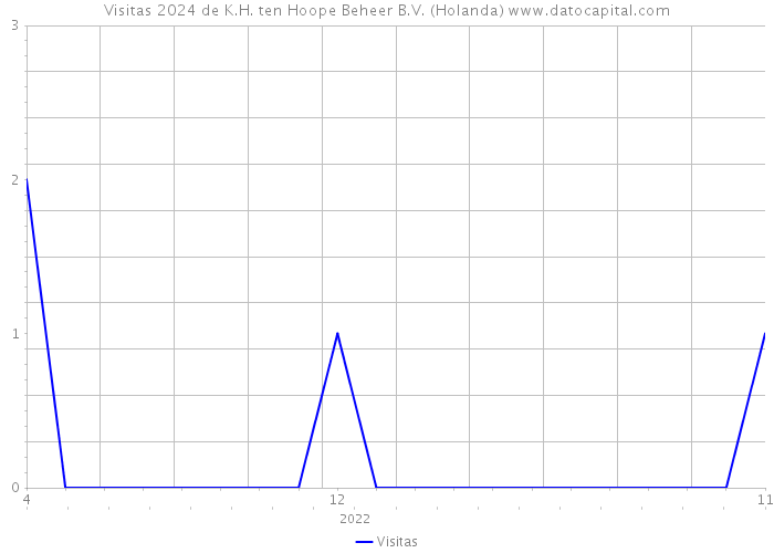 Visitas 2024 de K.H. ten Hoope Beheer B.V. (Holanda) 