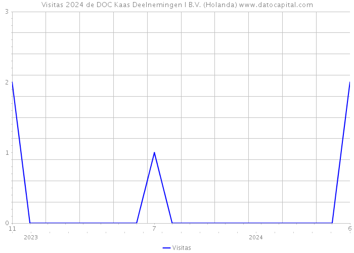 Visitas 2024 de DOC Kaas Deelnemingen I B.V. (Holanda) 