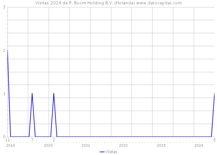 Visitas 2024 de P. Boom Holding B.V. (Holanda) 